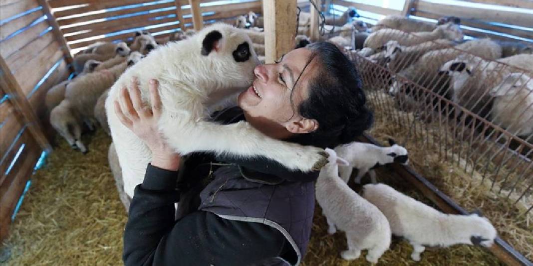Şehirden sıkıldı köye kaçtı: 85 hayvanıyla ekonomiye katkı sağlıyor 5